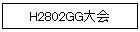 H2802GG