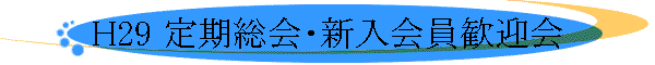 H29 񡦿޲
