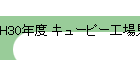 H30ǯ 塼ԡ츫ؤΰ