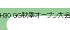 H30 GGץ罸