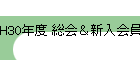 H30ǯ ޲