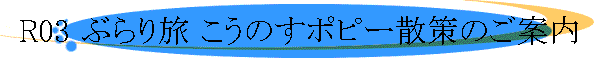 R03 ֤ι ΤݥԡΤ