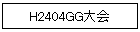H2404GG