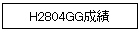H2804GG