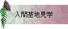ִϸ